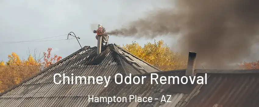 Chimney Odor Removal Hampton Place - AZ