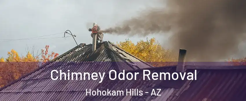 Chimney Odor Removal Hohokam Hills - AZ