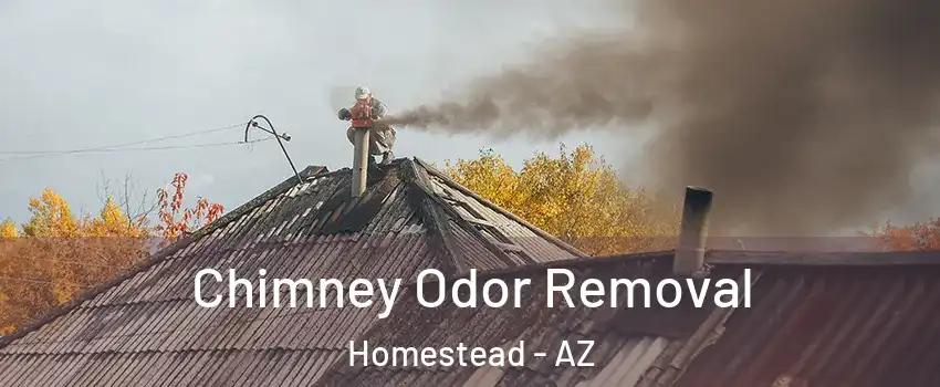 Chimney Odor Removal Homestead - AZ