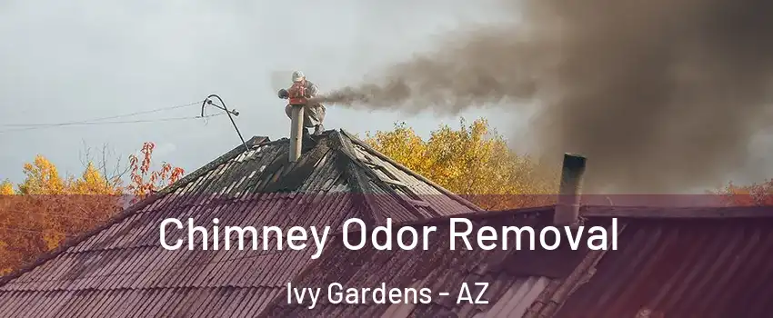 Chimney Odor Removal Ivy Gardens - AZ