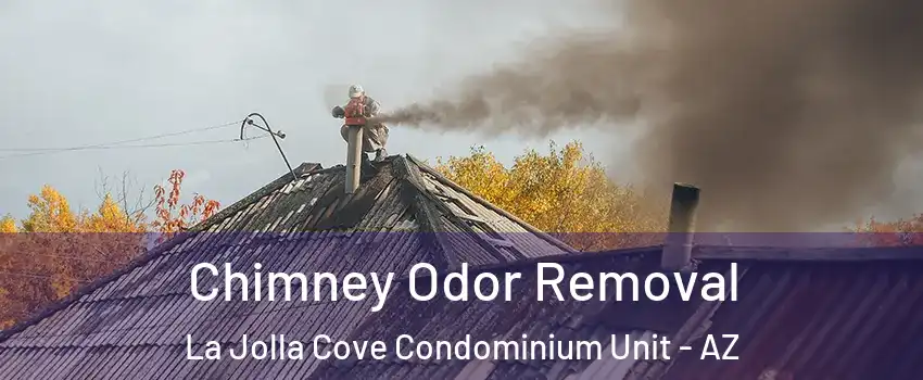 Chimney Odor Removal La Jolla Cove Condominium Unit - AZ