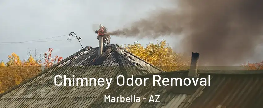 Chimney Odor Removal Marbella - AZ