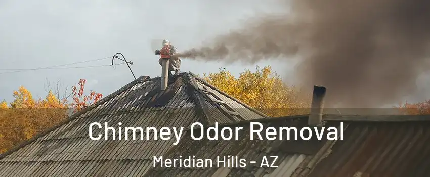 Chimney Odor Removal Meridian Hills - AZ