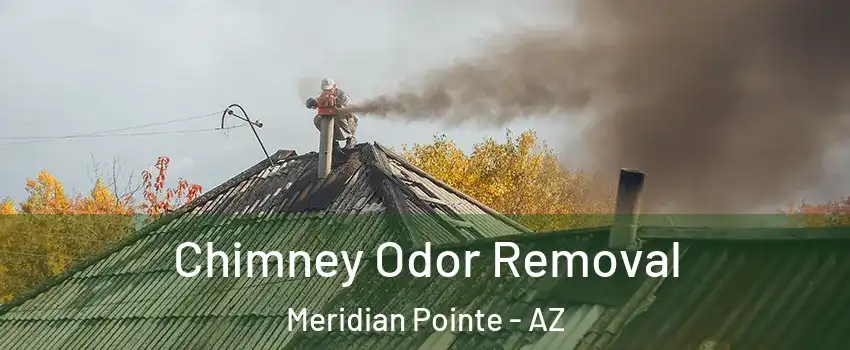 Chimney Odor Removal Meridian Pointe - AZ