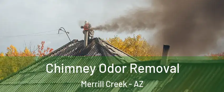 Chimney Odor Removal Merrill Creek - AZ