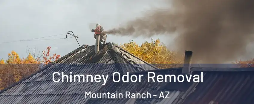 Chimney Odor Removal Mountain Ranch - AZ
