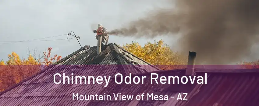 Chimney Odor Removal Mountain View of Mesa - AZ