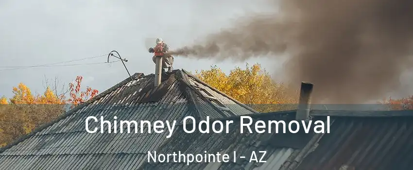 Chimney Odor Removal Northpointe I - AZ