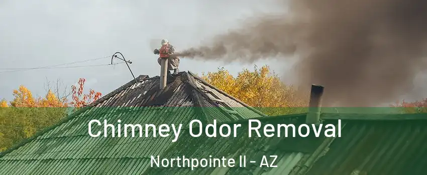 Chimney Odor Removal Northpointe II - AZ