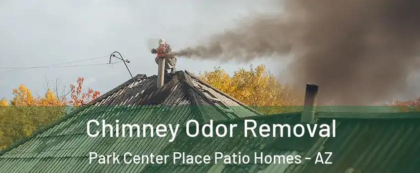 Chimney Odor Removal Park Center Place Patio Homes - AZ