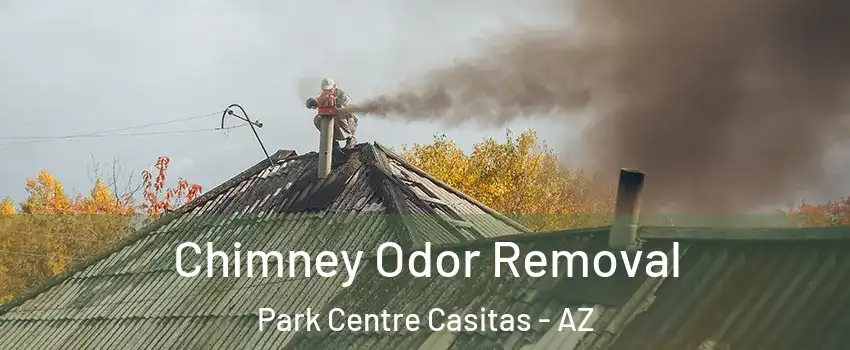 Chimney Odor Removal Park Centre Casitas - AZ