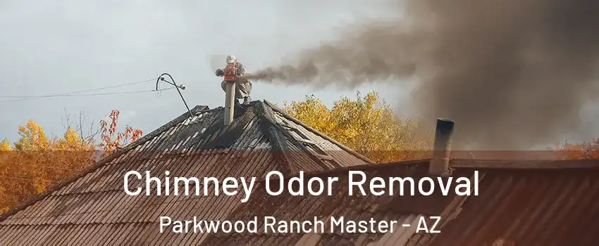 Chimney Odor Removal Parkwood Ranch Master - AZ