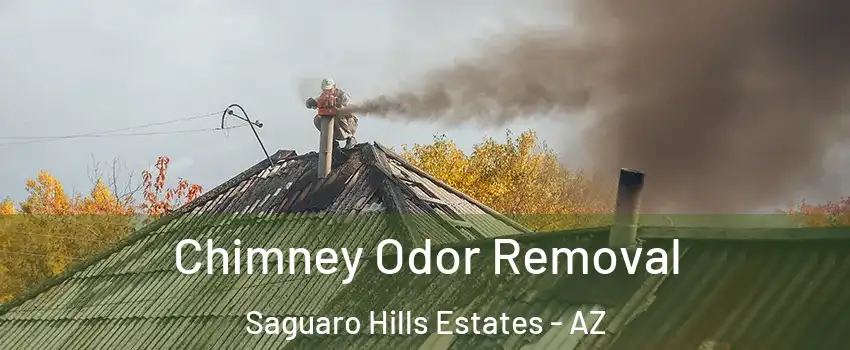 Chimney Odor Removal Saguaro Hills Estates - AZ