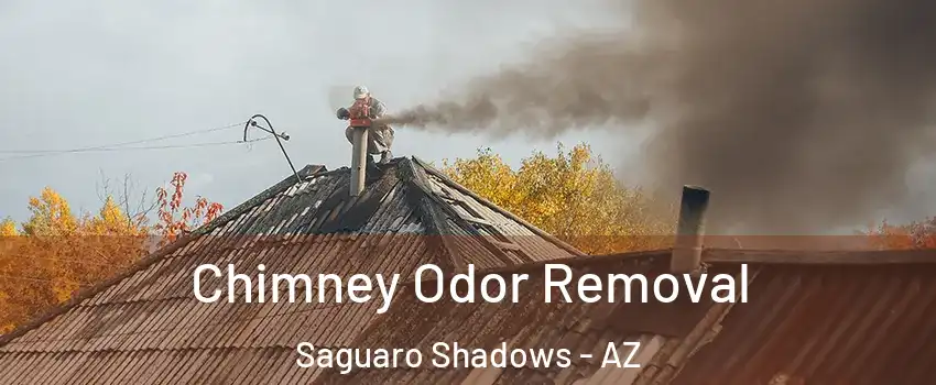 Chimney Odor Removal Saguaro Shadows - AZ
