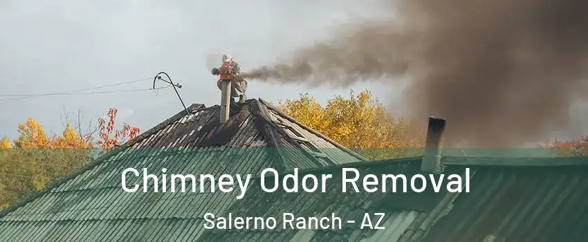 Chimney Odor Removal Salerno Ranch - AZ