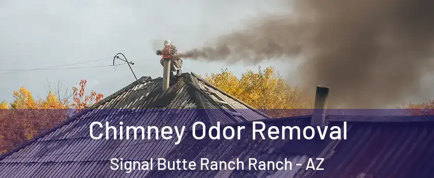 Chimney Odor Removal Signal Butte Ranch Ranch - AZ