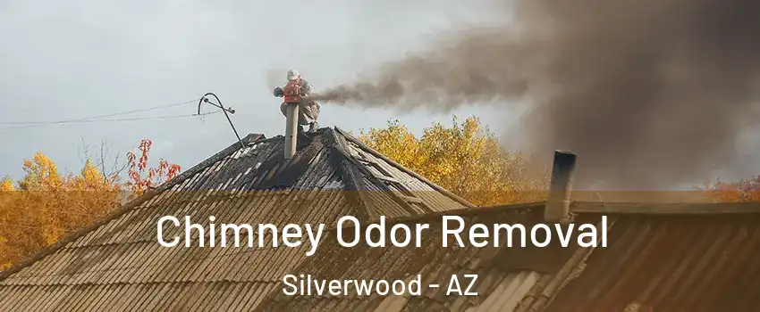 Chimney Odor Removal Silverwood - AZ