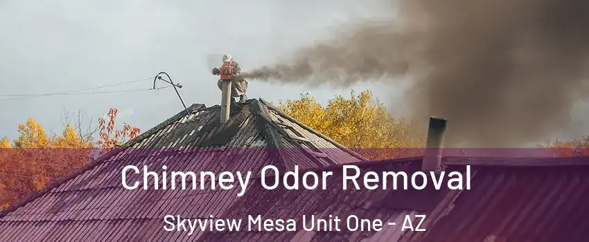 Chimney Odor Removal Skyview Mesa Unit One - AZ