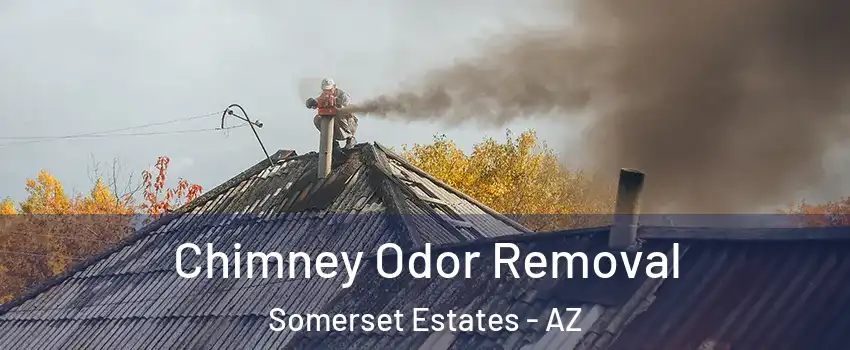Chimney Odor Removal Somerset Estates - AZ