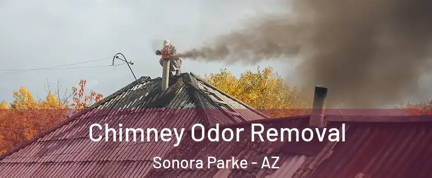 Chimney Odor Removal Sonora Parke - AZ