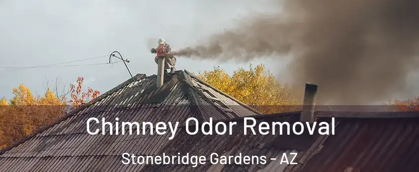 Chimney Odor Removal Stonebridge Gardens - AZ