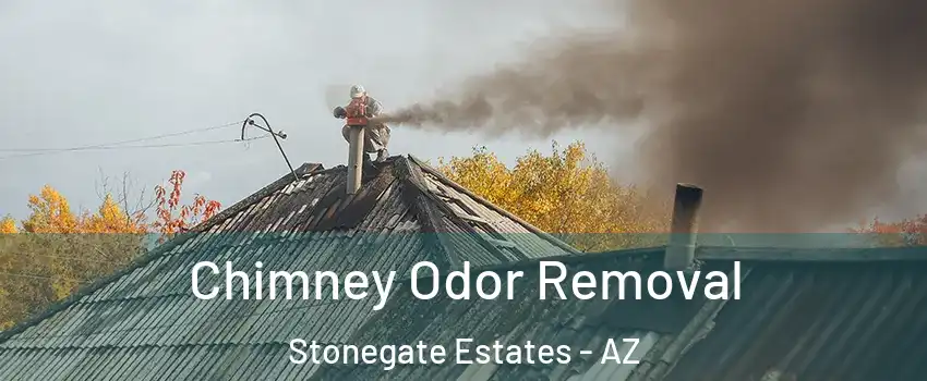 Chimney Odor Removal Stonegate Estates - AZ