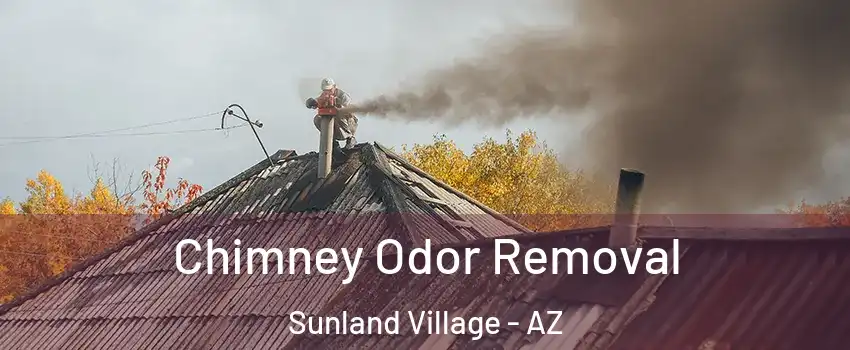 Chimney Odor Removal Sunland Village - AZ