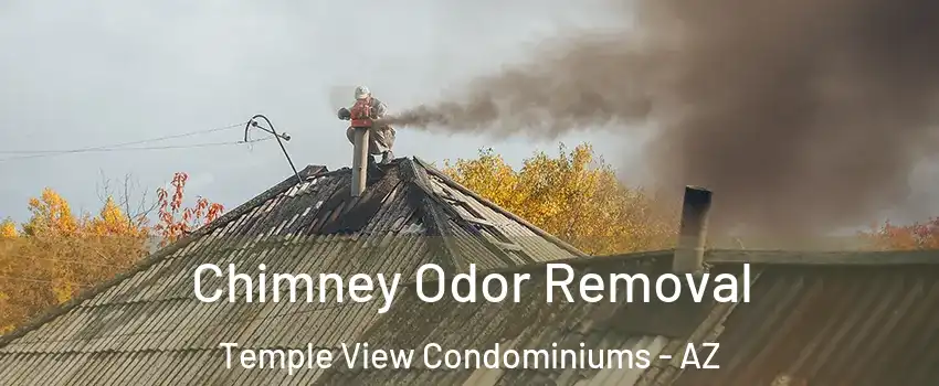 Chimney Odor Removal Temple View Condominiums - AZ