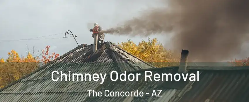 Chimney Odor Removal The Concorde - AZ