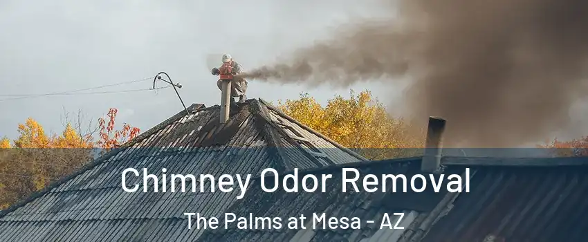Chimney Odor Removal The Palms at Mesa - AZ