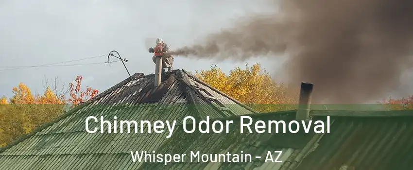 Chimney Odor Removal Whisper Mountain - AZ