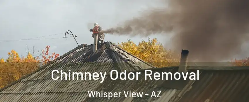 Chimney Odor Removal Whisper View - AZ