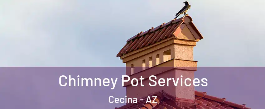 Chimney Pot Services Cecina - AZ