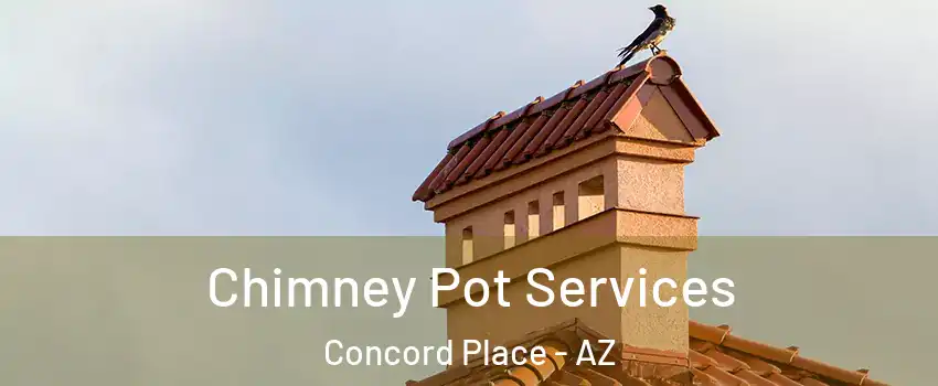 Chimney Pot Services Concord Place - AZ