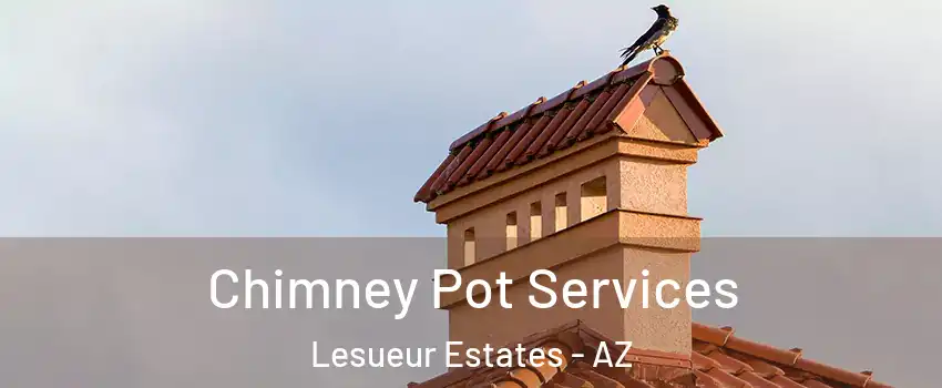 Chimney Pot Services Lesueur Estates - AZ