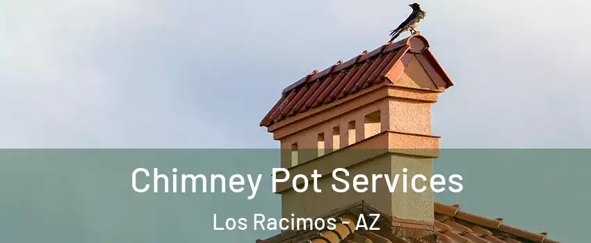 Chimney Pot Services Los Racimos - AZ
