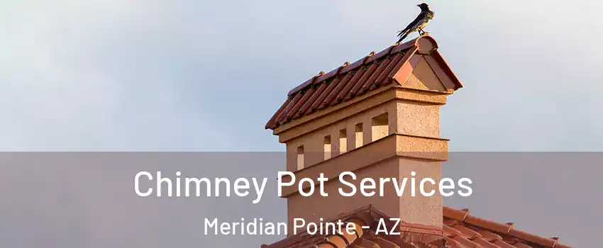 Chimney Pot Services Meridian Pointe - AZ