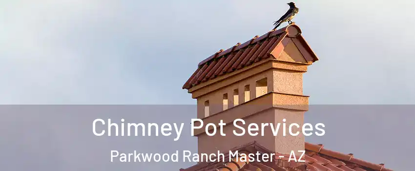 Chimney Pot Services Parkwood Ranch Master - AZ
