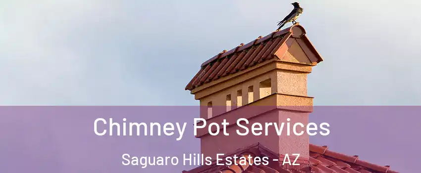 Chimney Pot Services Saguaro Hills Estates - AZ