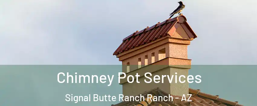 Chimney Pot Services Signal Butte Ranch Ranch - AZ