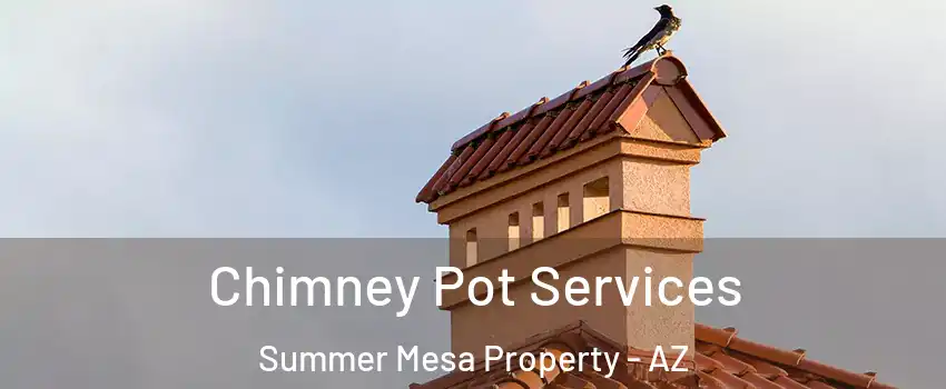 Chimney Pot Services Summer Mesa Property - AZ
