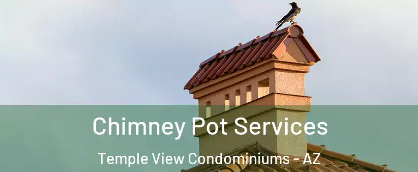 Chimney Pot Services Temple View Condominiums - AZ