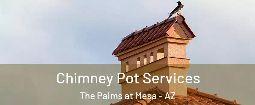 Chimney Pot Services The Palms at Mesa - AZ