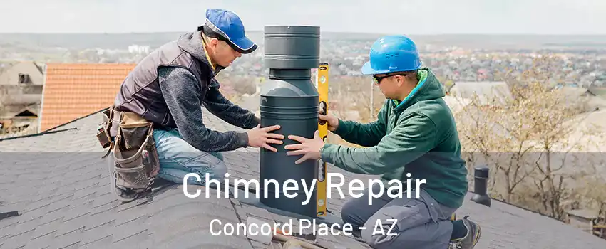 Chimney Repair Concord Place - AZ