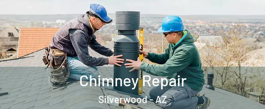 Chimney Repair Silverwood - AZ