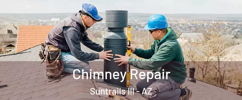 Chimney Repair Suntrails III - AZ