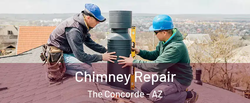 Chimney Repair The Concorde - AZ