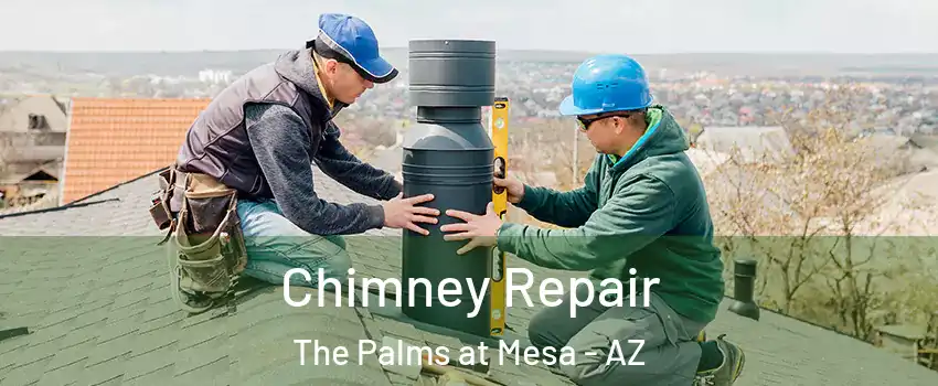 Chimney Repair The Palms at Mesa - AZ