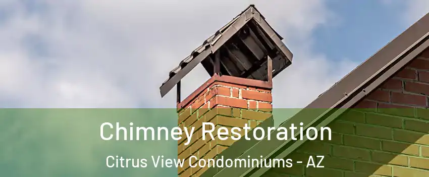 Chimney Restoration Citrus View Condominiums - AZ