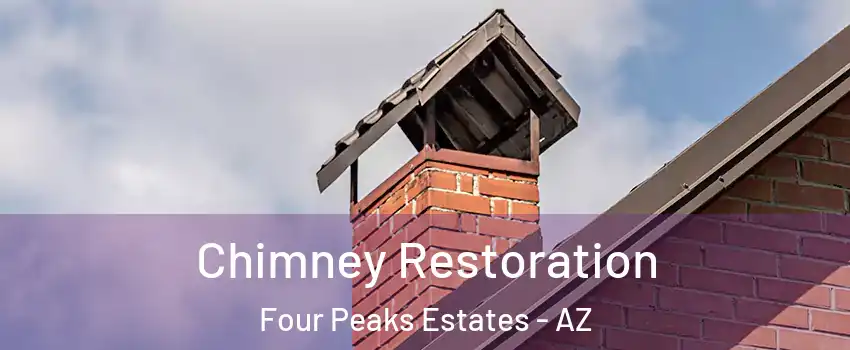 Chimney Restoration Four Peaks Estates - AZ